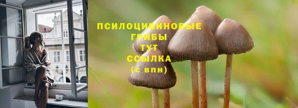 Альфа ПВП Кукмор