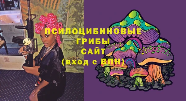 Альфа ПВП Кукмор