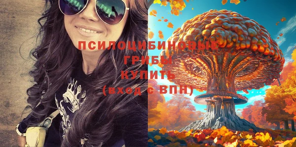 не бодяженный Кулебаки