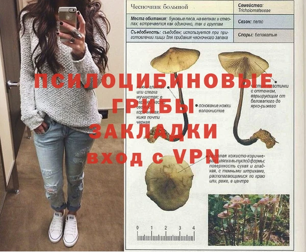 2c-b Куйбышев