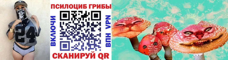 omg ССЫЛКА  где купить   Череповец  Псилоцибиновые грибы мухоморы 