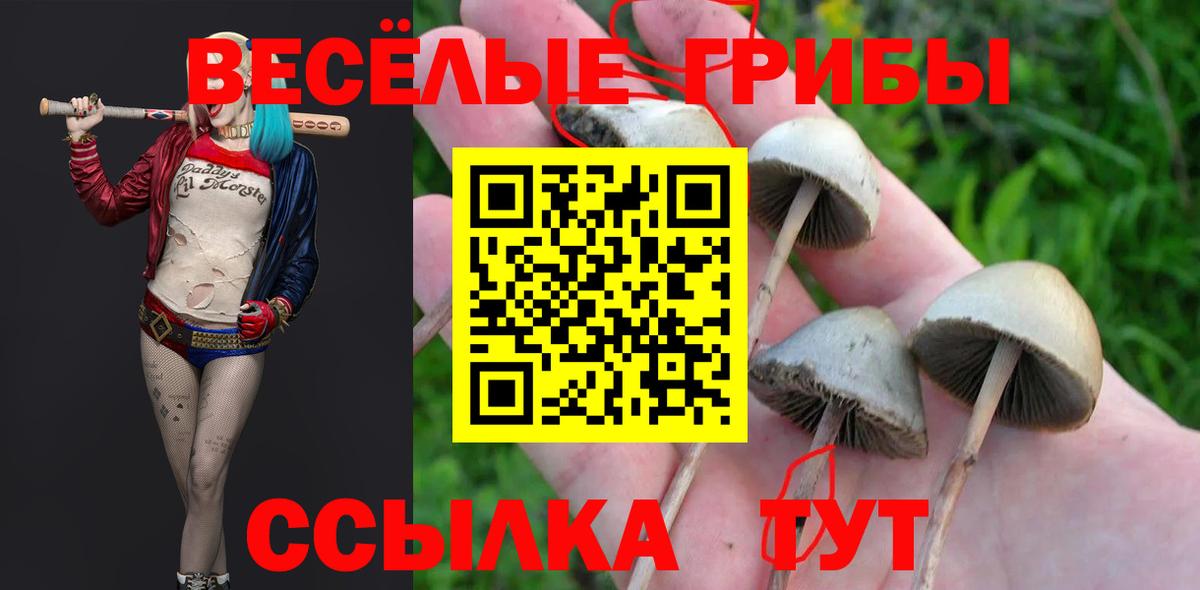 Псилоцибиновые грибы Cubensis  Вход с VPN  Череповец 